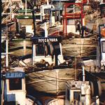 Boots-Gewirr  _20298