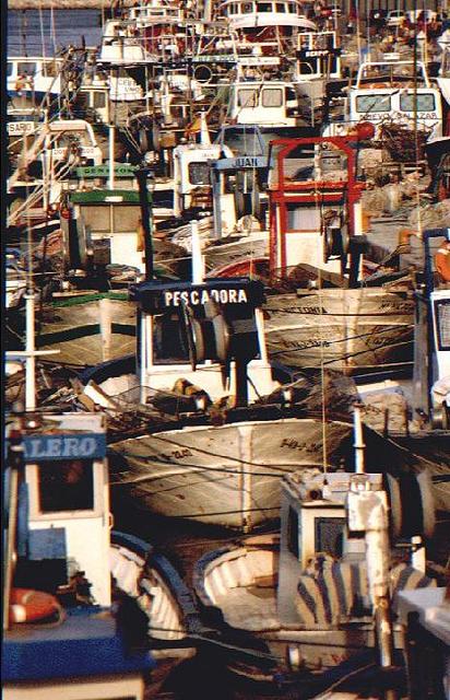 Boots-Gewirr  _20298