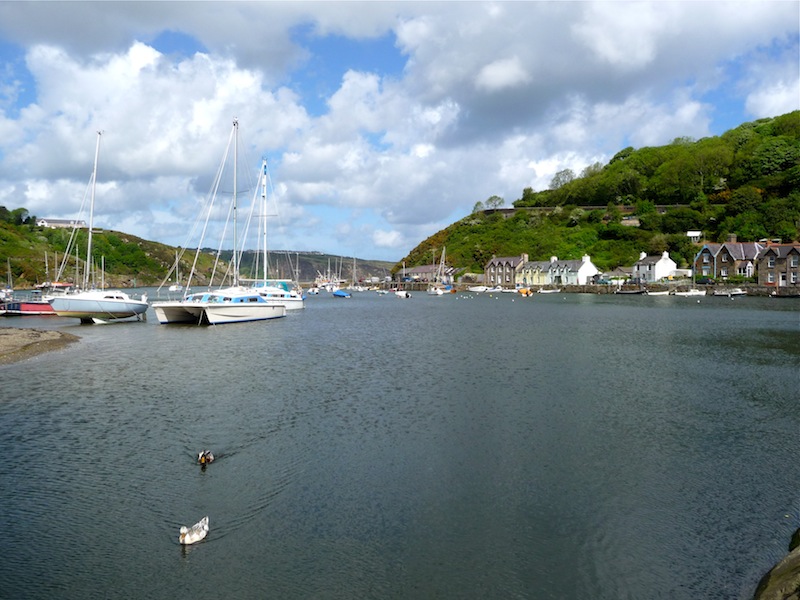 Fishguard _286