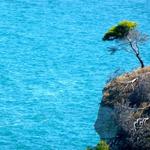 ...ganz alleine  _P1010292