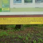 Minen-Spiel _P1000474