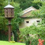 Schloß Rosenau _P1000472