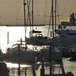 ...am neuen Hafen _P1000173