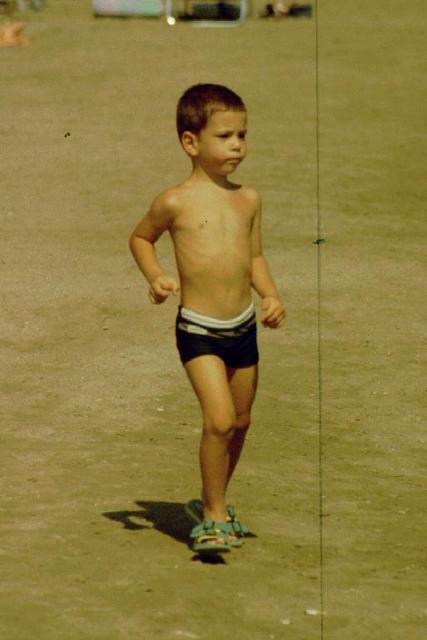 Strandläufer  _331101