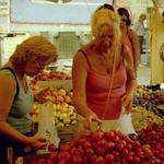 Expertensuche...   _441101