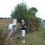 Pferdeflüsterer   _P1020143