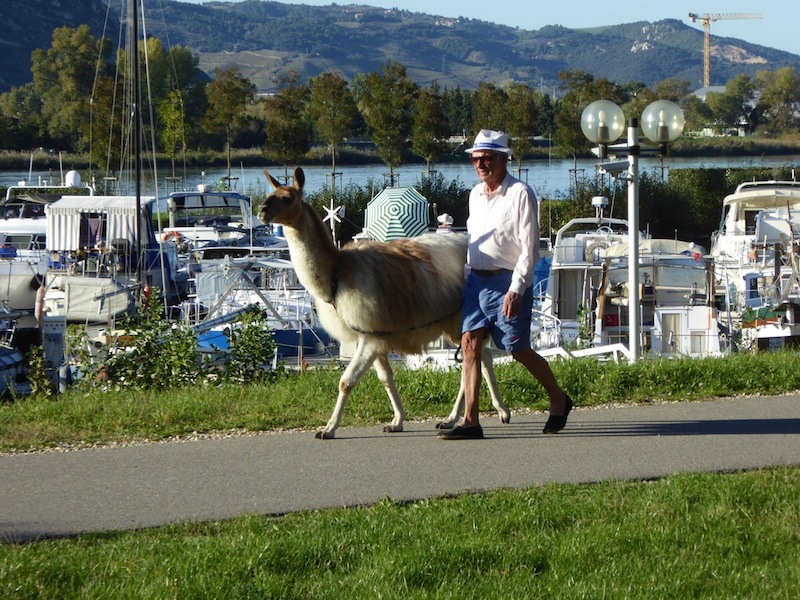 "Gassigehen"  _P1000594