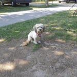 Charlotte  _P1030342