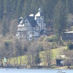 Tittisee/ Schwarzwald - P1040098