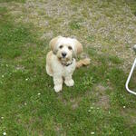 Charlotte  - P1040105