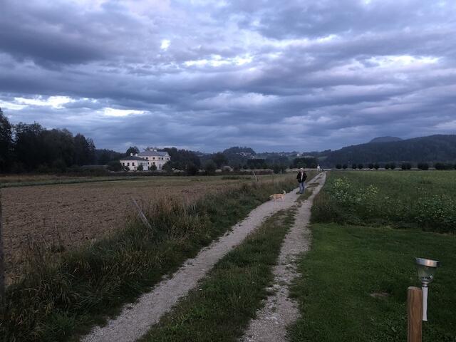 Rosegg-Abendspaziergang - IMG_3586