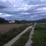 Rosegg-Abendspaziergang - IMG_3586