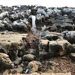 Kroatischer "Strand" - IMG_3608