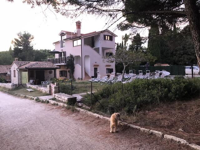 Unser Zuhause - IMG_3609