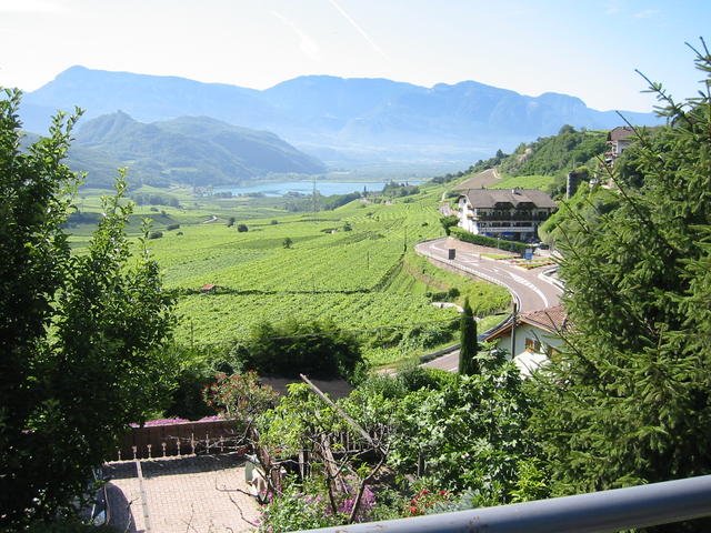 Blick zum Kalterer See  _100-0013