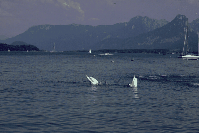 Wolfgangsee-Idylle 1   _15198