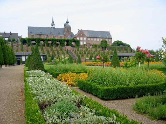 blühende Pracht _1108