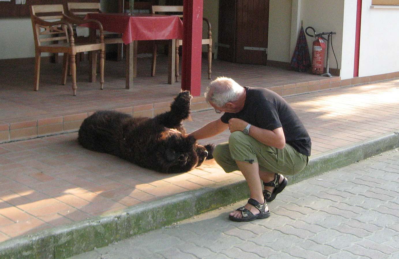 ...ein Knuddelhund!