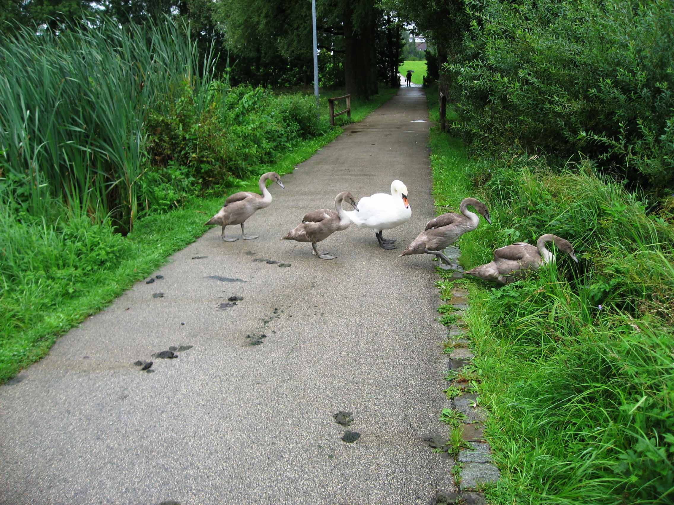 Familienausflug... _1397