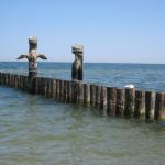 Zingst 256