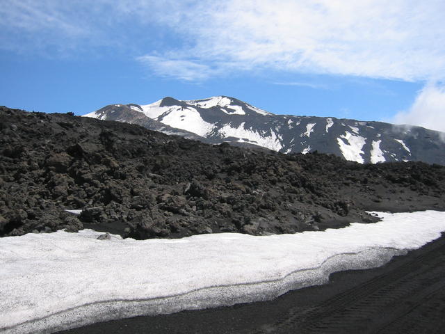 Schwarz und weiß... _1122