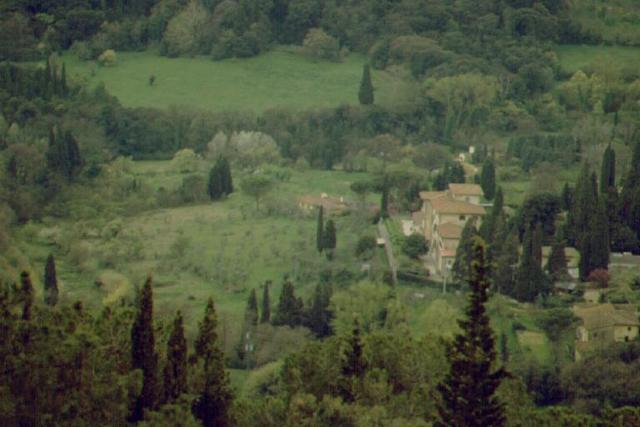 ...landschaftstypisch  _23296